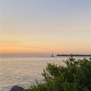 Meet your Posher, Elisabeth